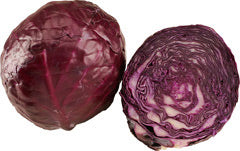 Kapusta czerwona