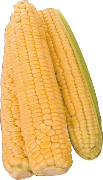 Kukurydza cukrowa-Polska