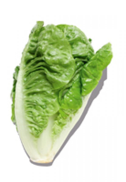 Sałata rzymska 1 szt.